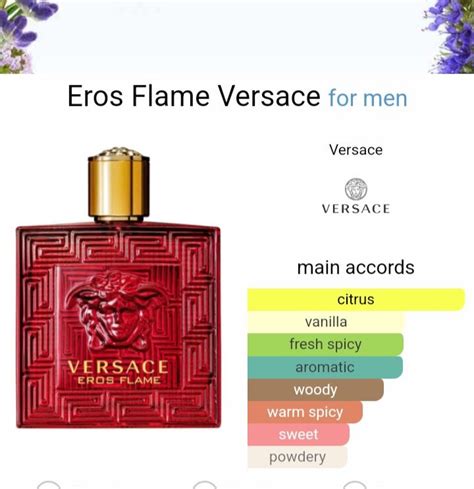 Yves Saint Laurent Y or Versace Eros : r/fragranceclones 